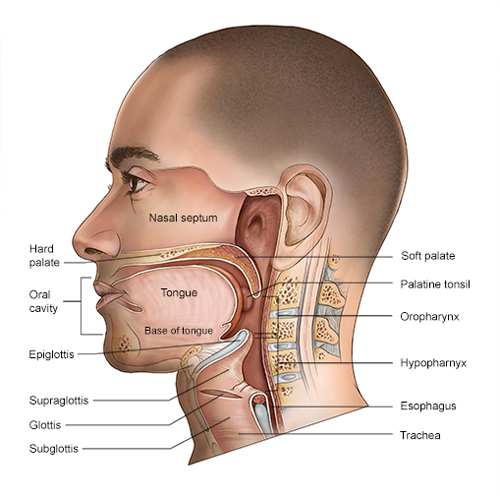 service-image